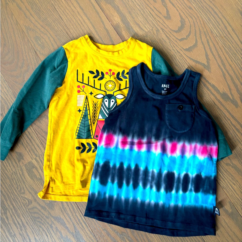 RAGS to Raches - Size 2T - Shirts